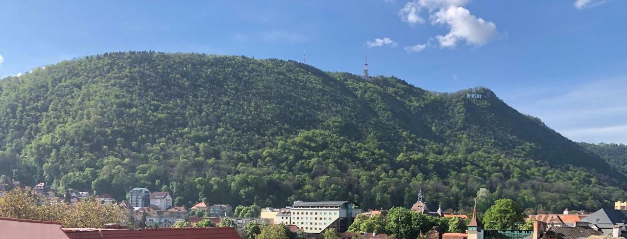 Buzoianu By Holztreppe Brasov